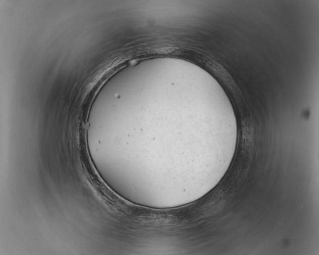 X0000115680626200912031420