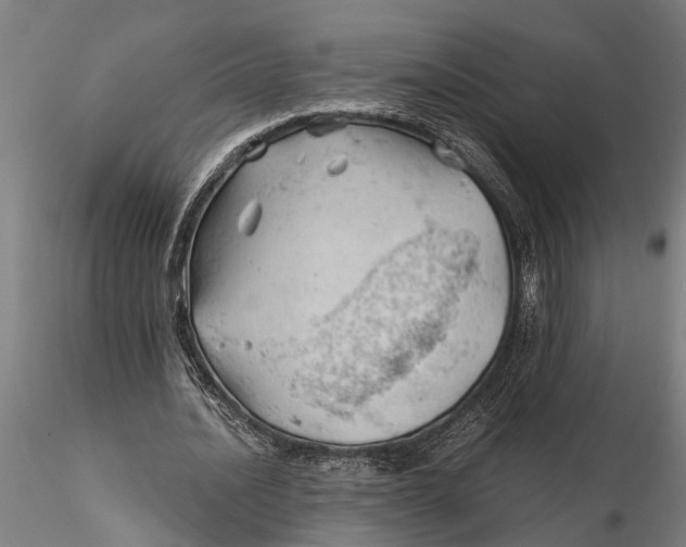 X0000115680628200912031420