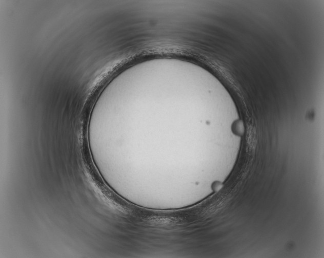 X0000115680629200912031420