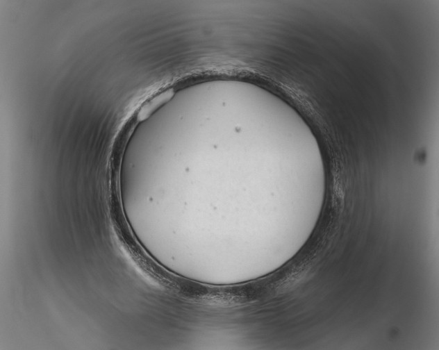 X0000115680630200912031420