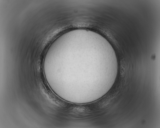 X0000115680631200912031420