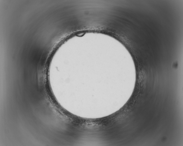 X0000115680632200912031420