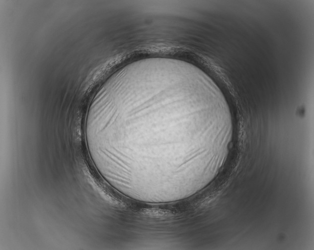 X0000115680633200912031420