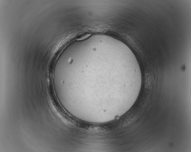 X0000115680634200912031420