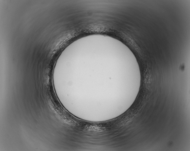 X0000115680635200912031420