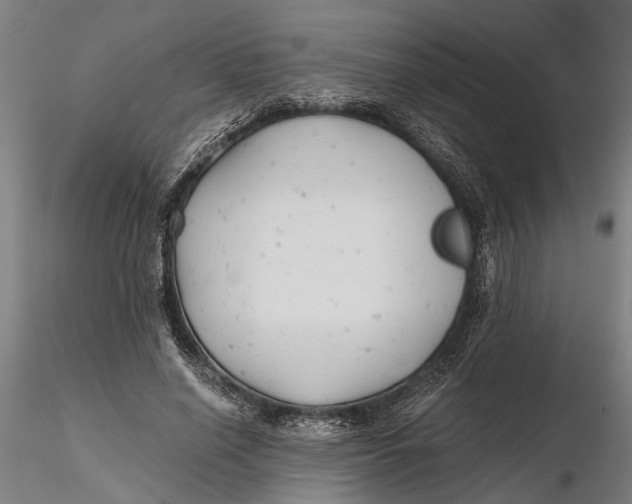 X0000115680638200912031420