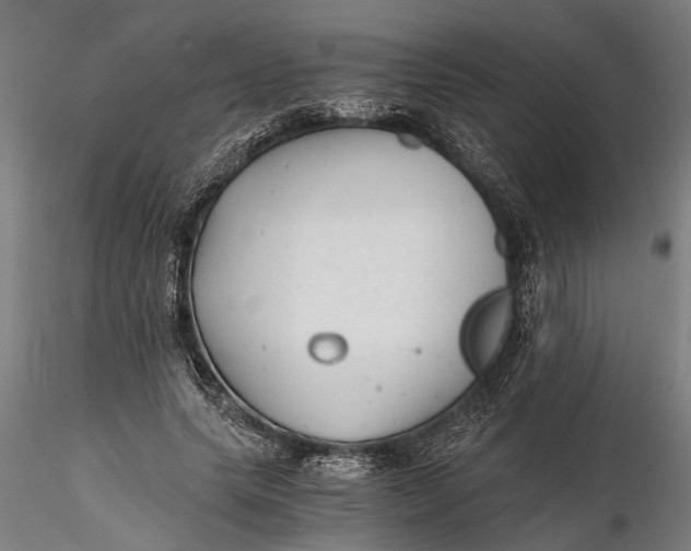 X0000115680639200912031420