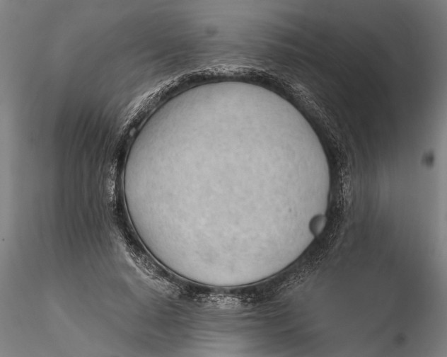 X0000115680640200912031420