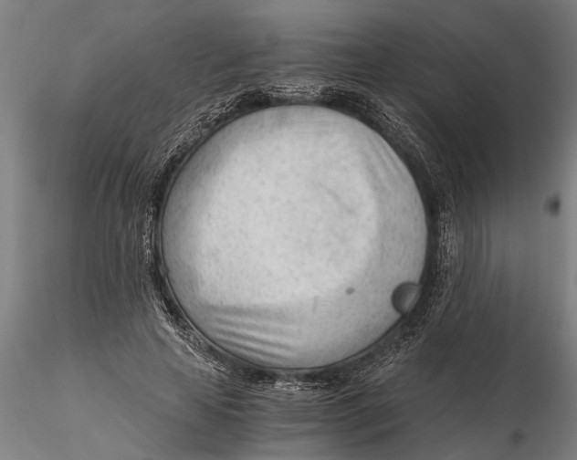 X0000115680641200912031420