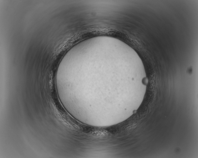 X0000115680642200912031420