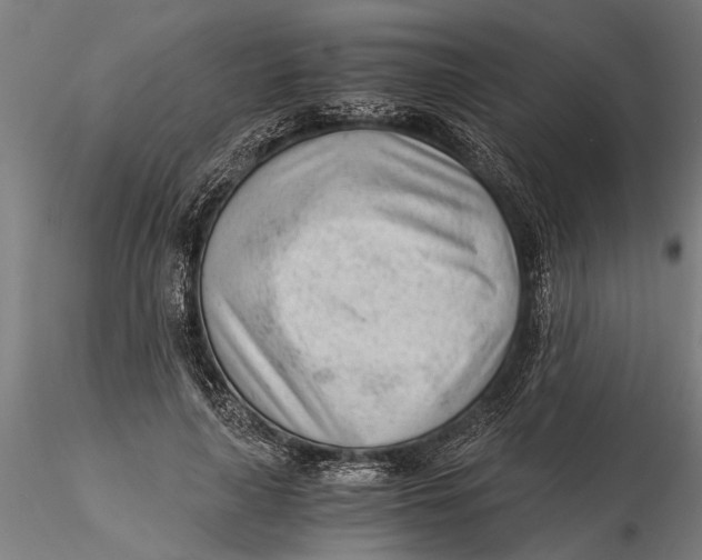 X0000115680643200912031420