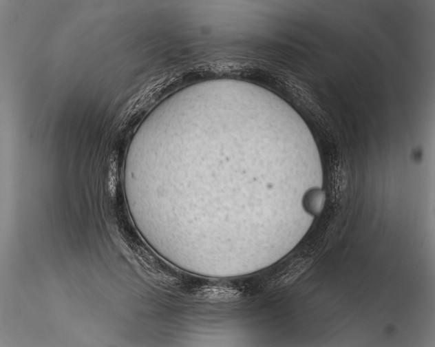 X0000115680644200912031420