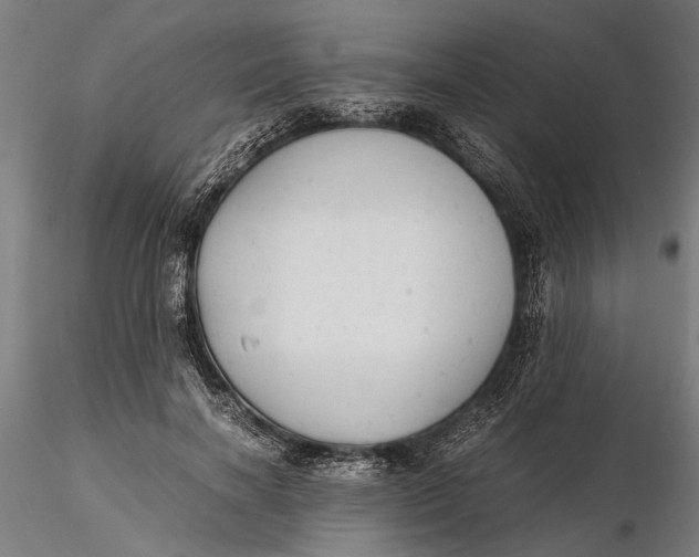 X0000115680646200912031420