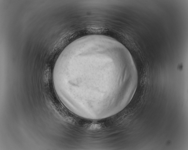 X0000115680647200912031420