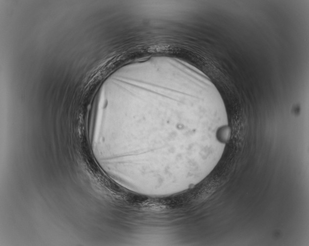 X0000115680648200912031420