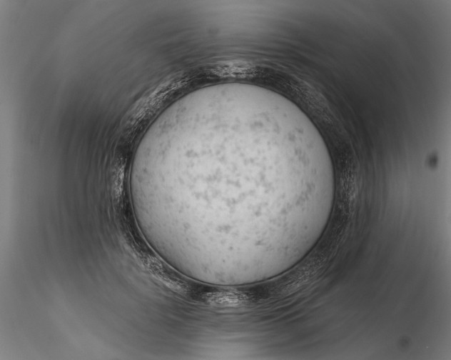 X0000115680652200912031420