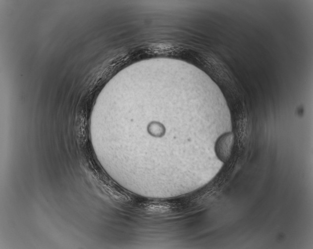 X0000115680653200912031420