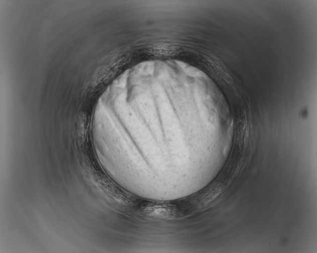 X0000115680655200912031420