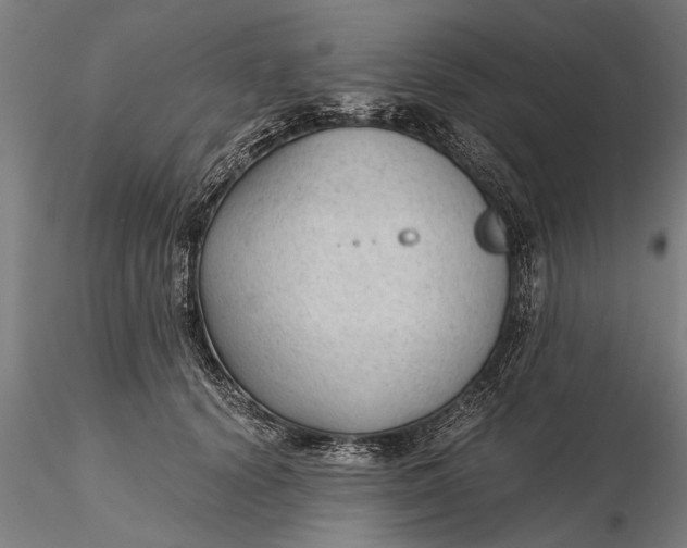 X0000115680656200912031420