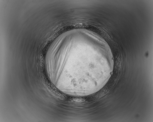 X0000115680659200912031420