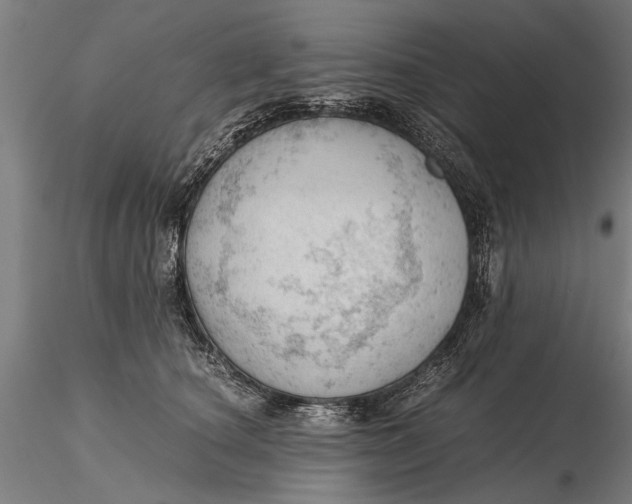 X0000115680660200912031420