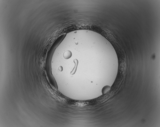 X0000115680662200912031420