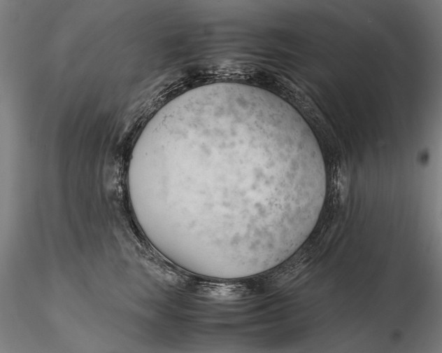 X0000115680663200912031420