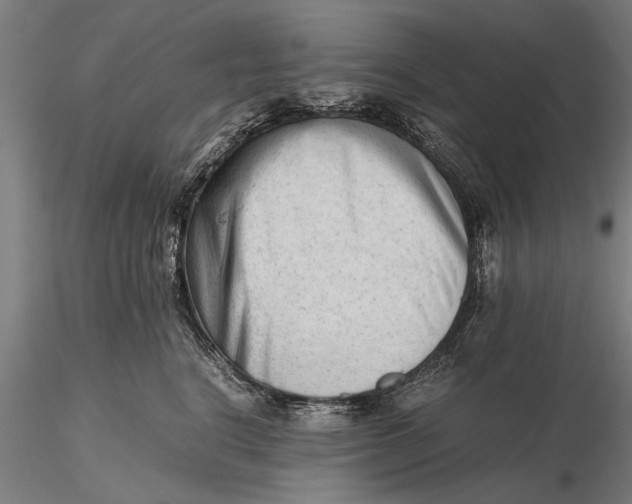 X0000115680664200912031420