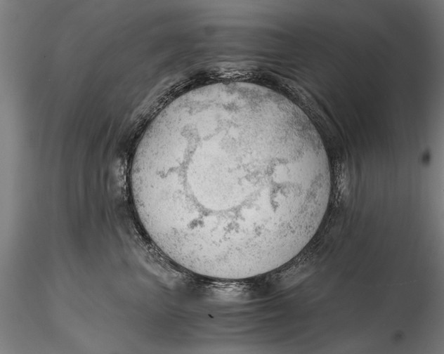 X0000115680667200912031421