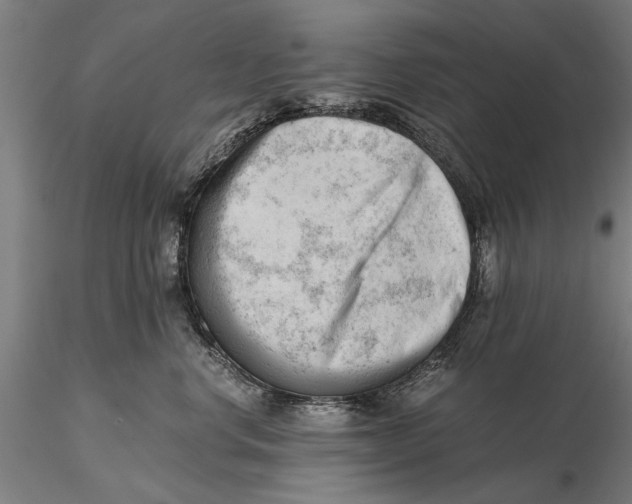 X0000115680668200912031421