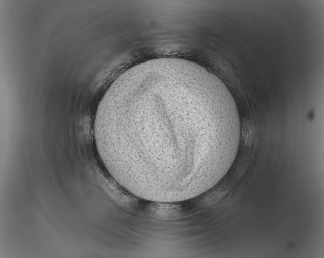 X0000115680670200912031421