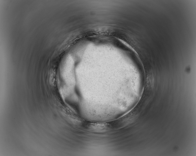 X0000115680671200912031421