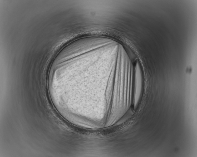 X0000115680673200912031420