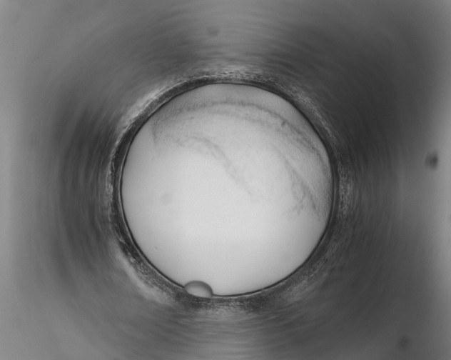 X0000115680674200912031420