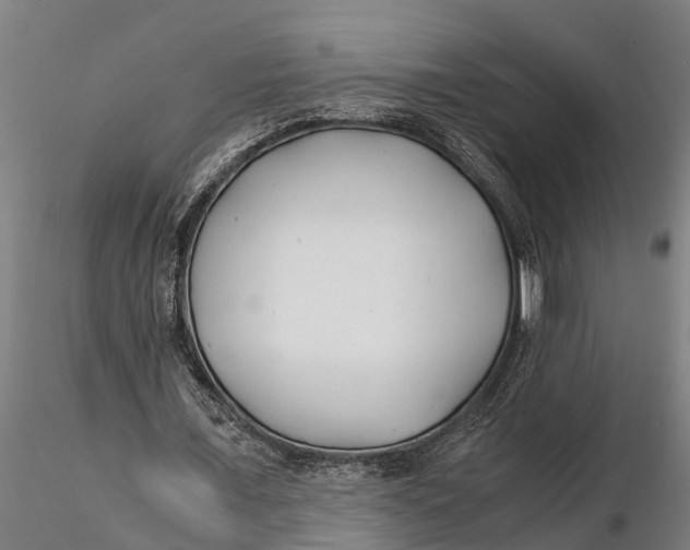 X0000115680675200912031420