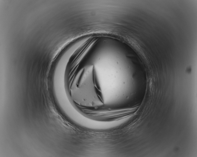 X0000115680676200912031420