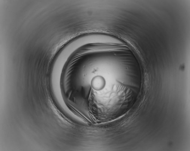 X0000115680677200912031420