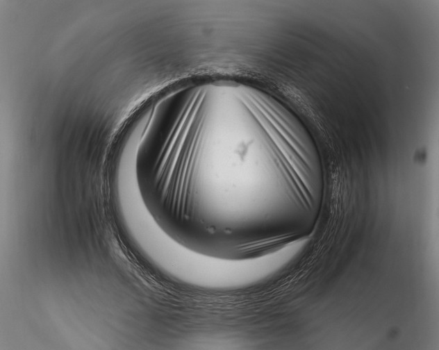 X0000115680680200912031420