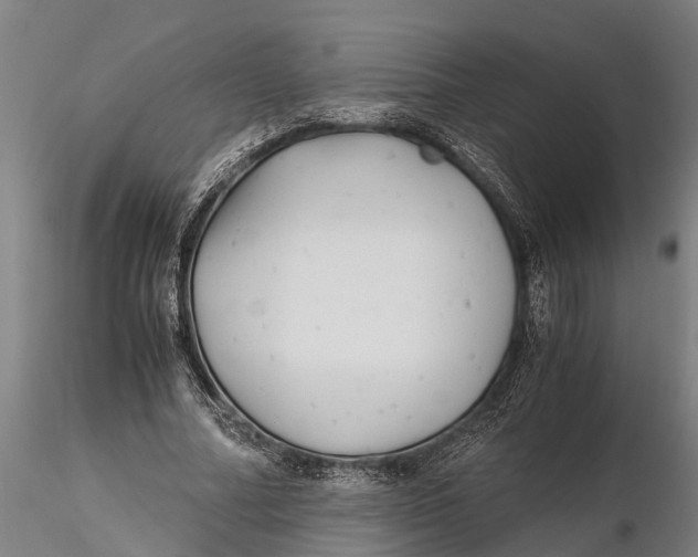 X0000115680682200912031420