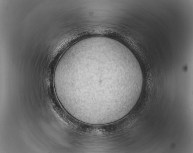 X0000115680683200912031420