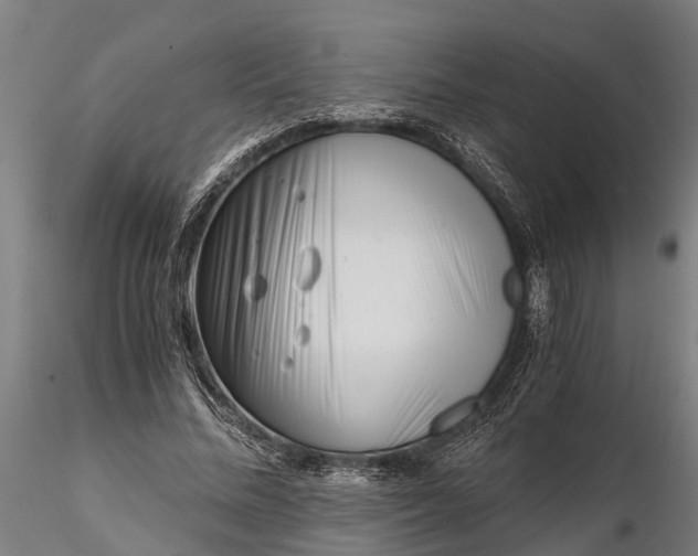 X0000115680684200912031420