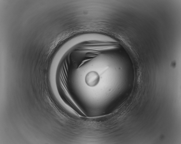 X0000115680685200912031420