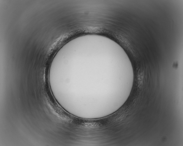 X0000115680686200912031420