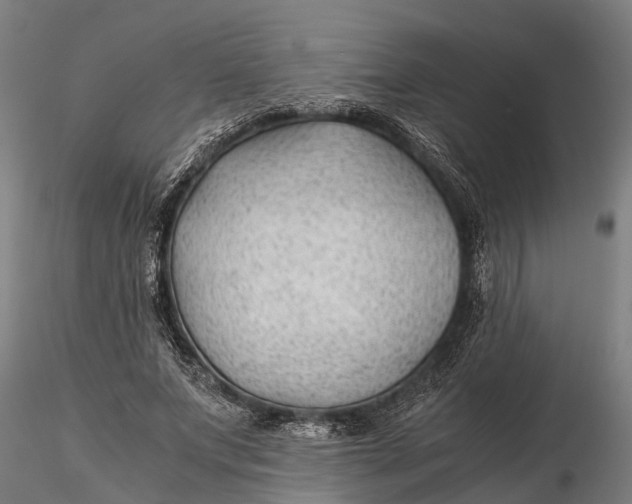 X0000115680687200912031420