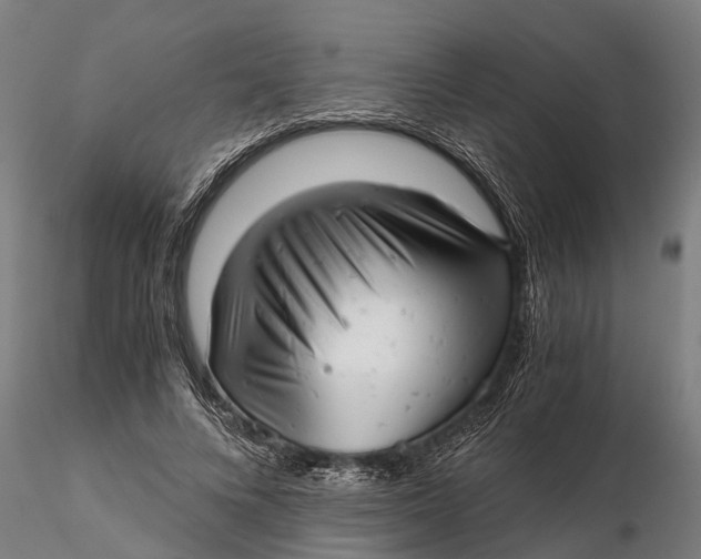 X0000115680688200912031420