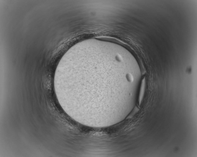 X0000115680689200912031420