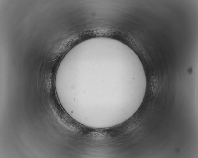 X0000115680690200912031420