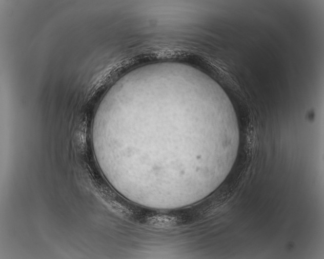 X0000115680691200912031420