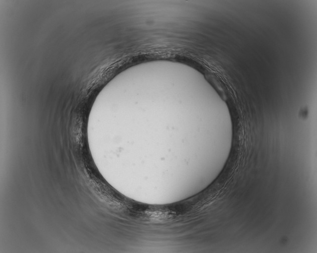 X0000115680693200912031420