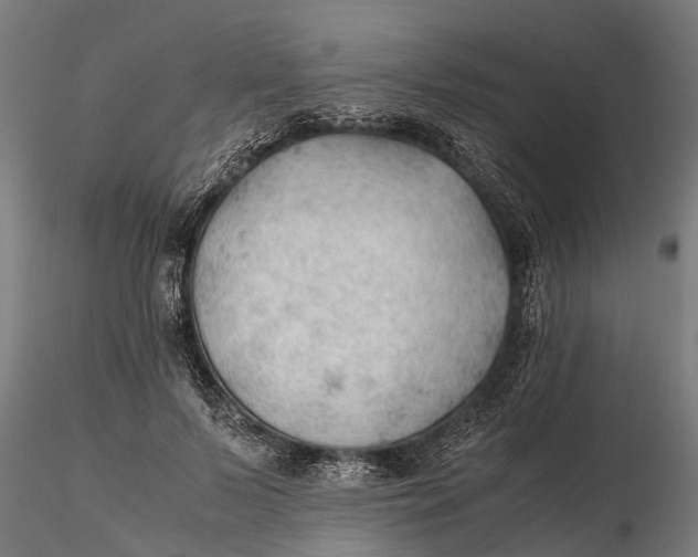 X0000115680695200912031420